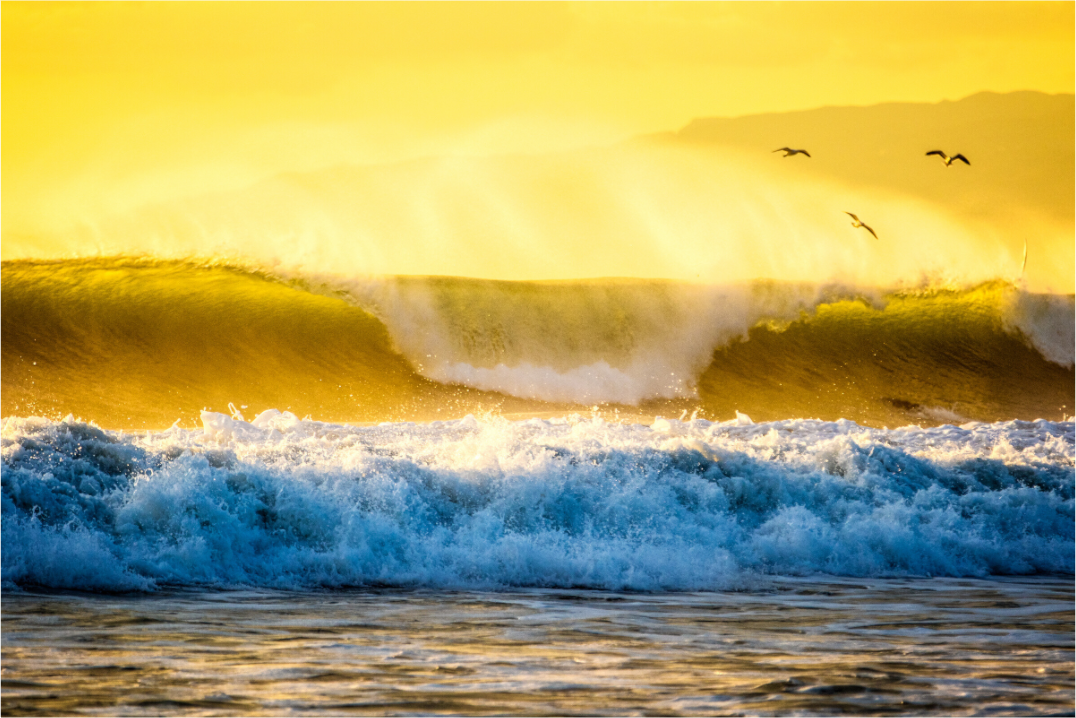 Main image Golden Storm Venice