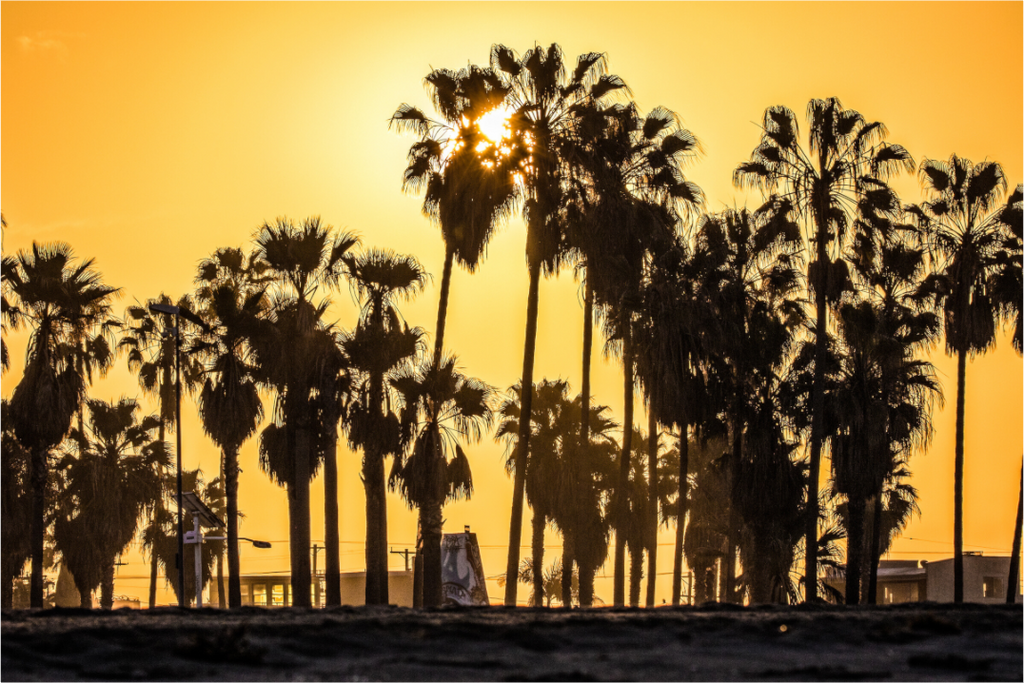 Main image Yellow Sunset in Venice