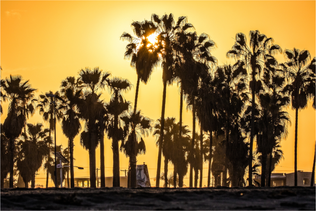 Main image Yellow Sunset in Venice