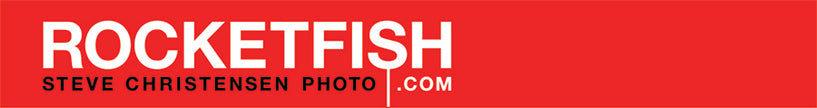 Rocketfish